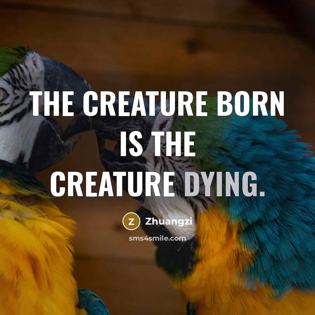 “The creature born is the creature dying.” quote by Zhuangzi