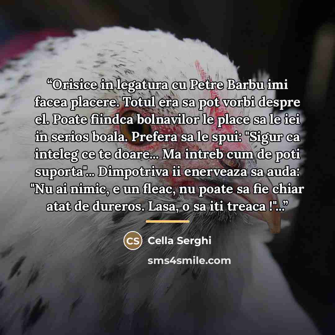 “Orisice in legatura cu Petre Barbu imi facea placere. Totul era sa pot vorbi despre el. Poate fiindca bolnavilor le place sa le iei in serios boala. Prefera sa le spui: "Sigur ca inteleg ce te doare... Ma intreb cum de poti suporta"... Dimpotriva ii enerveaza sa auda: "Nu ai nimic, e un fleac, nu…” quote by cella serghi