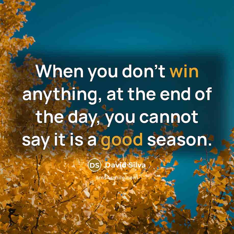 “When you don't win anything, at the end of the day, you cannot say it is a good season.” quote by David Silva