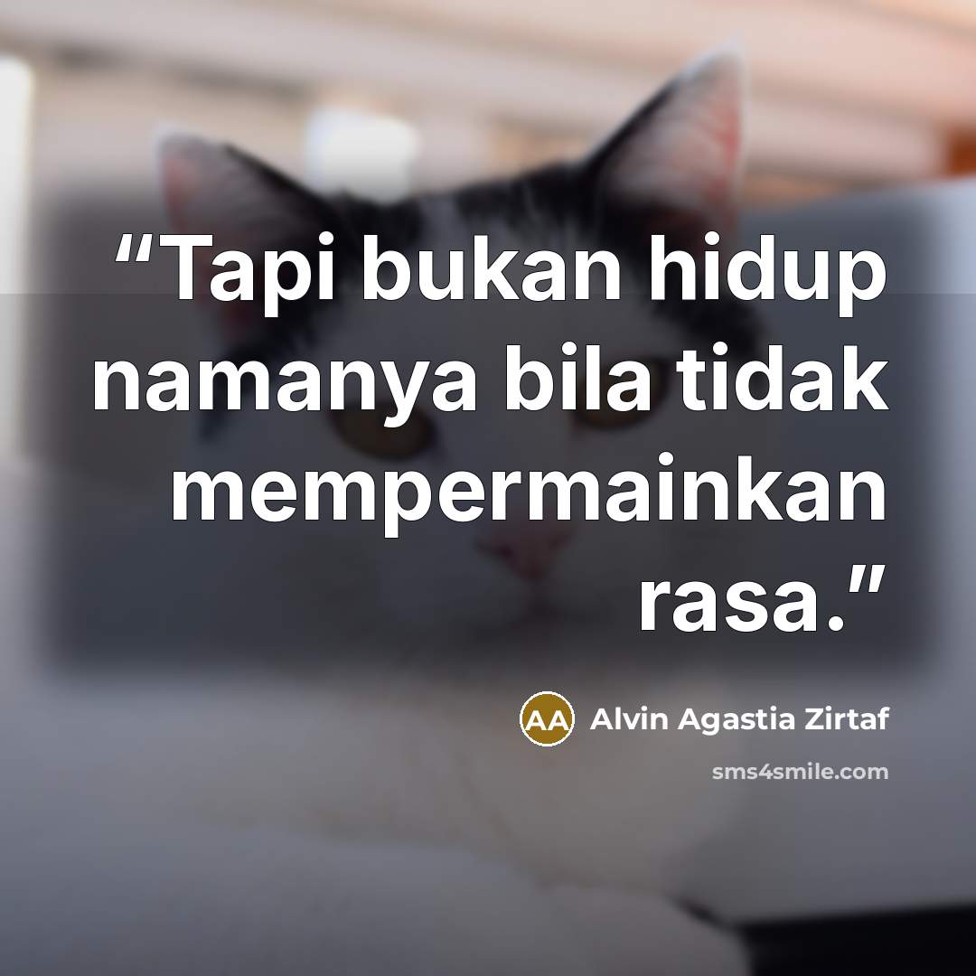 “Tapi bukan hidup namanya bila tidak mempermainkan rasa.” quote by Alvin Agastia Zirtaf