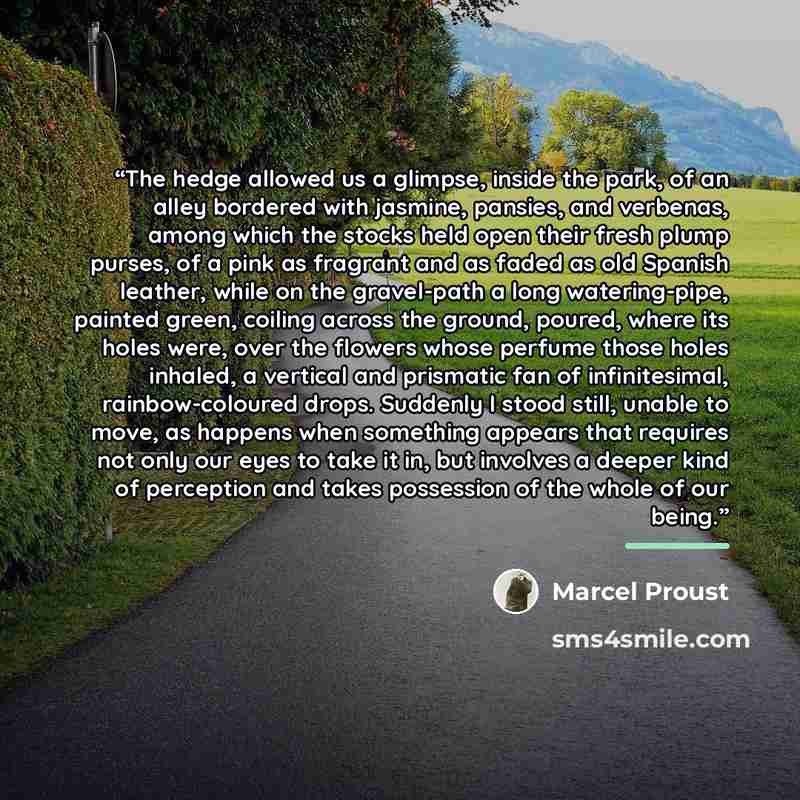 “The hedge allowed us a glimpse, inside the park, of an alley bordered with jasmine, pansies, and verbenas, among which the stocks held open their fresh plump purses, of a pink as fragrant and as faded as old Spanish leather, while on the gravel-path a long watering-pipe, painted green, coiling…” quote by Marcel Proust