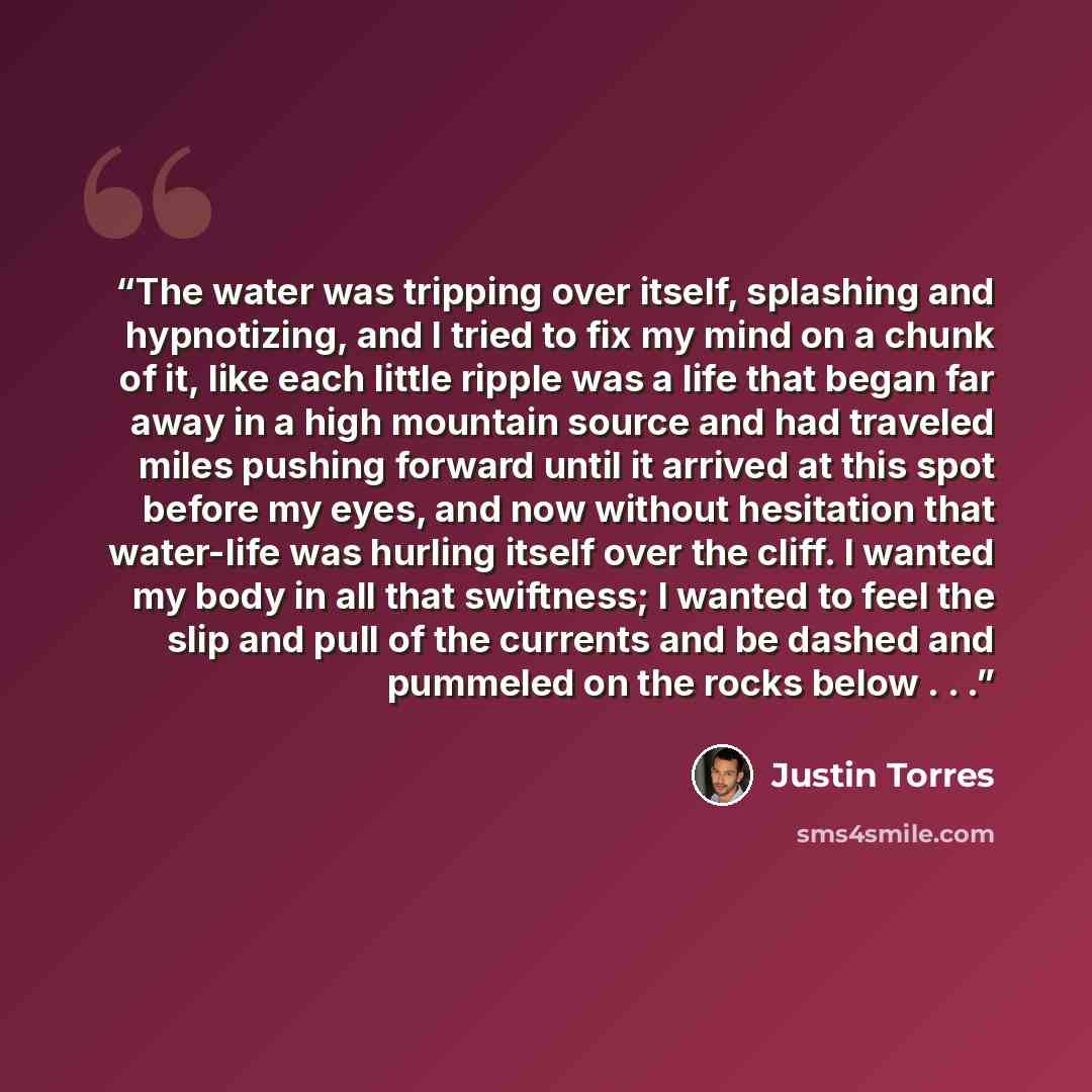 “The water was tripping over itself, splashing and hypnotizing, and I tried to fix my mind on a chunk of it, like each little ripple was a life that began far away in a high mountain source and had traveled miles pushing forward until it arrived at this spot before my eyes, and now without…” quote by Justin Torres