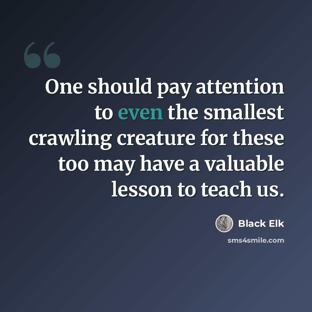 “One should pay attention to even the smallest crawling creature for these too may have a valuable lesson to teach us.” quote by Black Elk