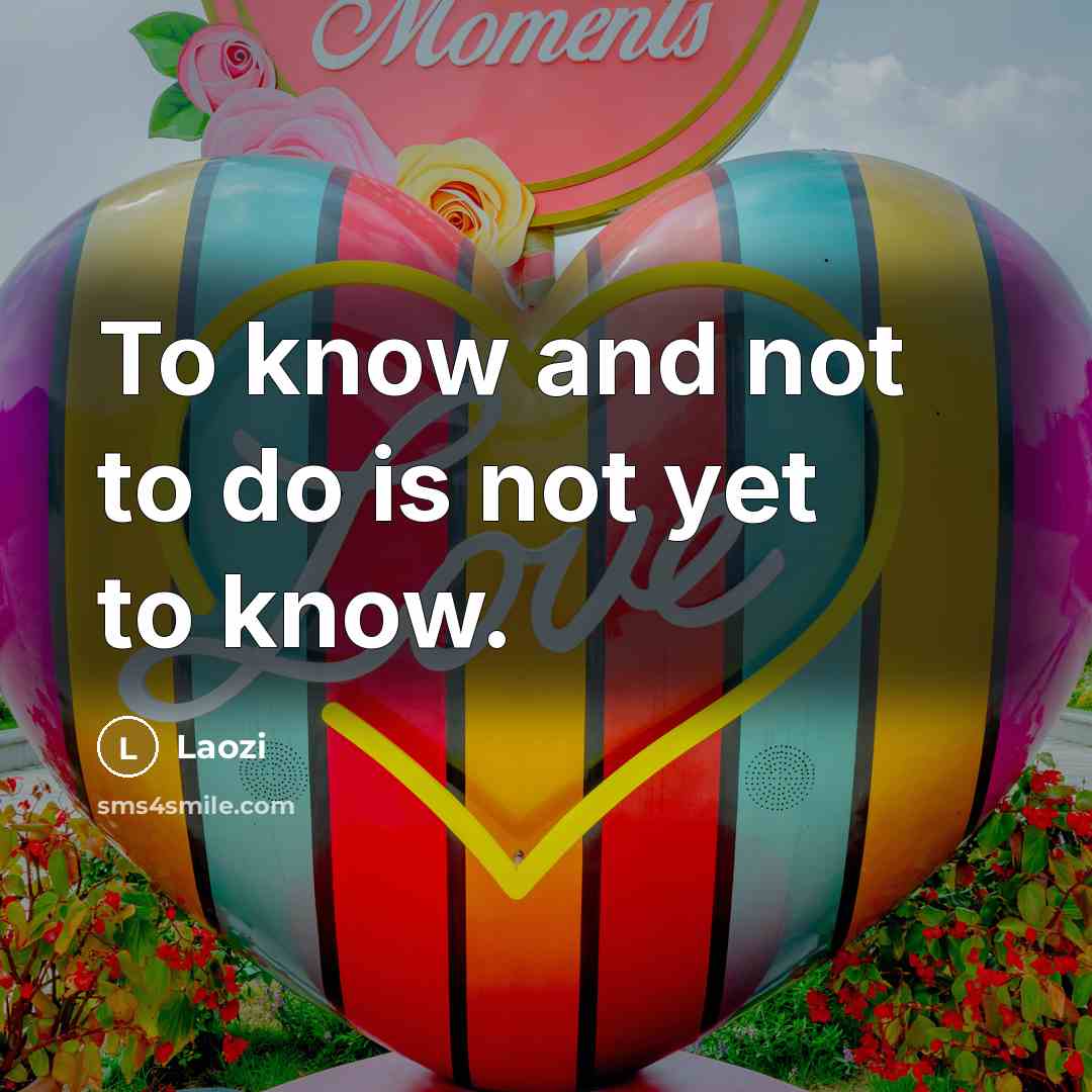 “To know and not to do is not yet to know.” quote by Laozi