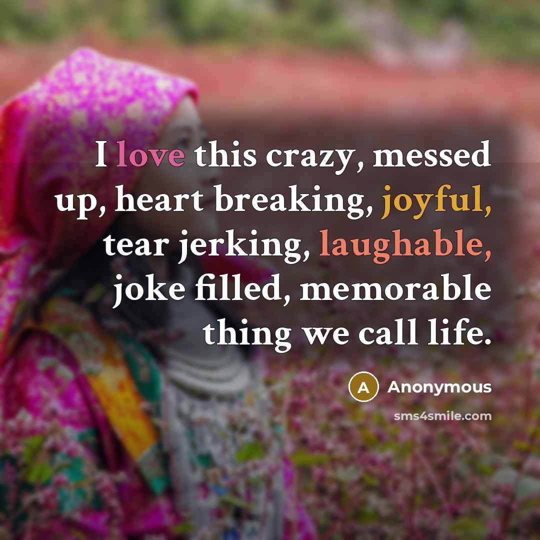 “I love this crazy, messed up, heart breaking, joyful, tear jerking, laughable, joke filled, memorable thing we call life.” quote by Anonymous