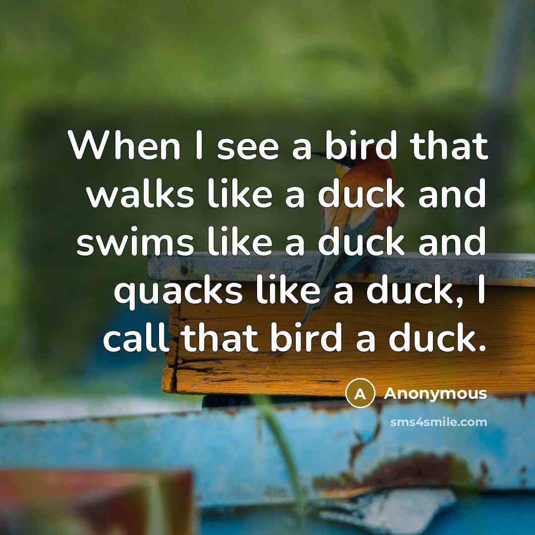 “When I see a bird that walks like a duck and swims like a duck and quacks like a duck, I call that bird a duck.” quote by Anonymous