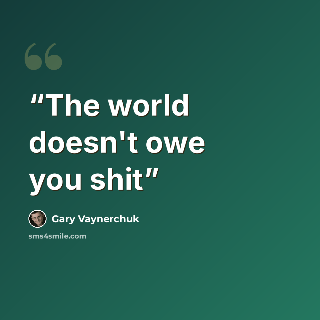 “The world doesn't owe you shit” quote by Gary Vaynerchuk