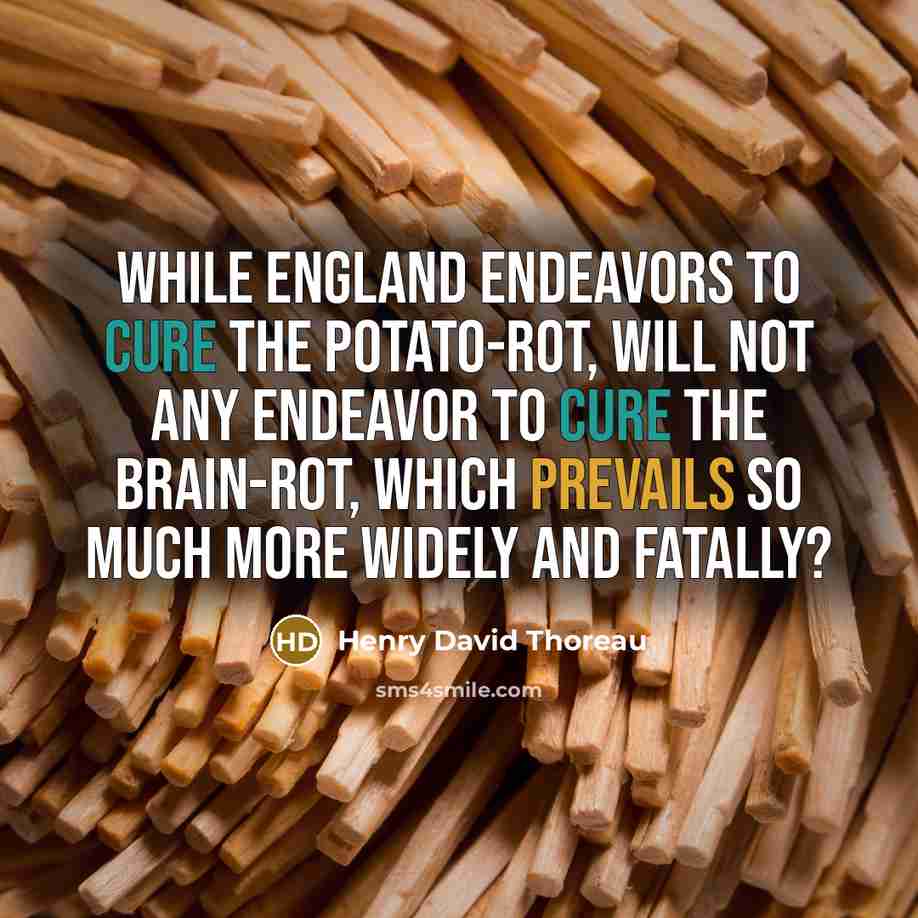 “While England endeavors to cure the potato-rot, will not any endeavor to cure the brain-rot, which prevails so much more widely and fatally?” quote by Henry David Thoreau