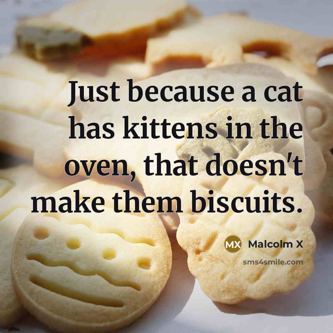 “Just because a cat has kittens in the oven, that doesn't make them biscuits.” quote by Malcolm X