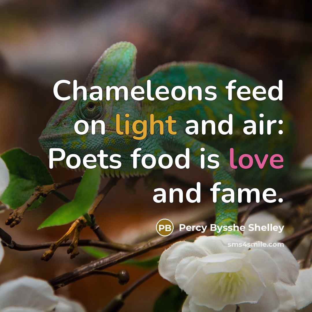 “Chameleons feed on light and air: Poets food is love and fame.” quote by Percy Bysshe Shelley