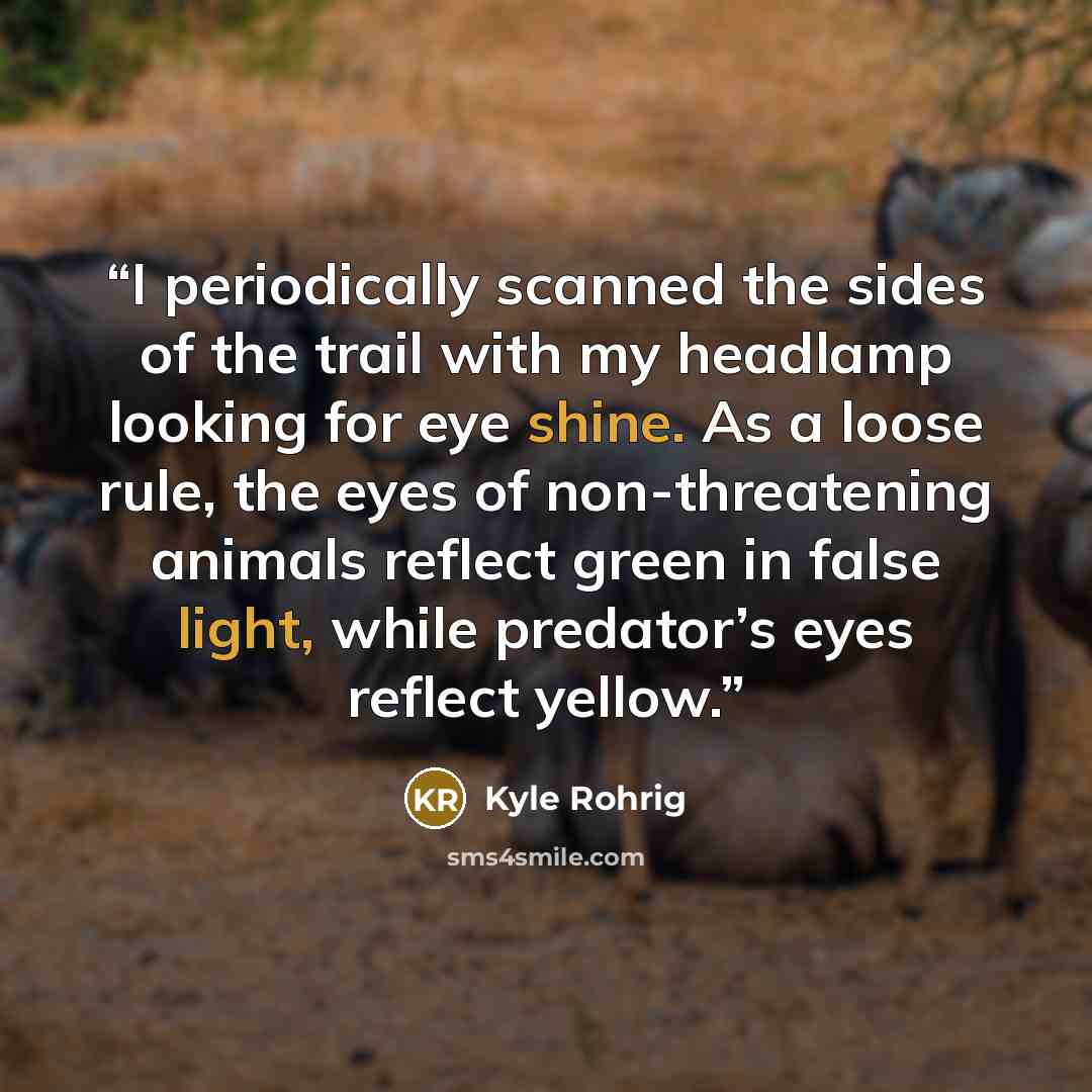 “I periodically scanned the sides of the trail with my headlamp looking for eye shine. As a loose rule, the eyes of non-threatening animals reflect green in false light, while predator’s eyes reflect yellow.” quote by Kyle Rohrig