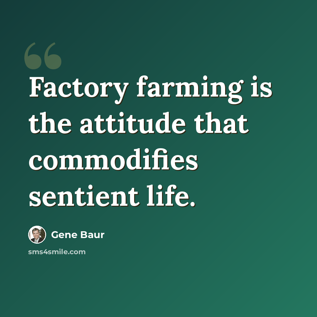 “Factory farming is the attitude that commodifies sentient life.” quote by Gene Baur
