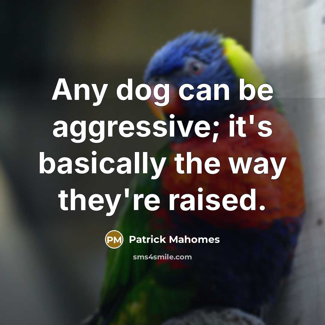“Any dog can be aggressive; it's basically the way they're raised.” quote by Patrick Mahomes