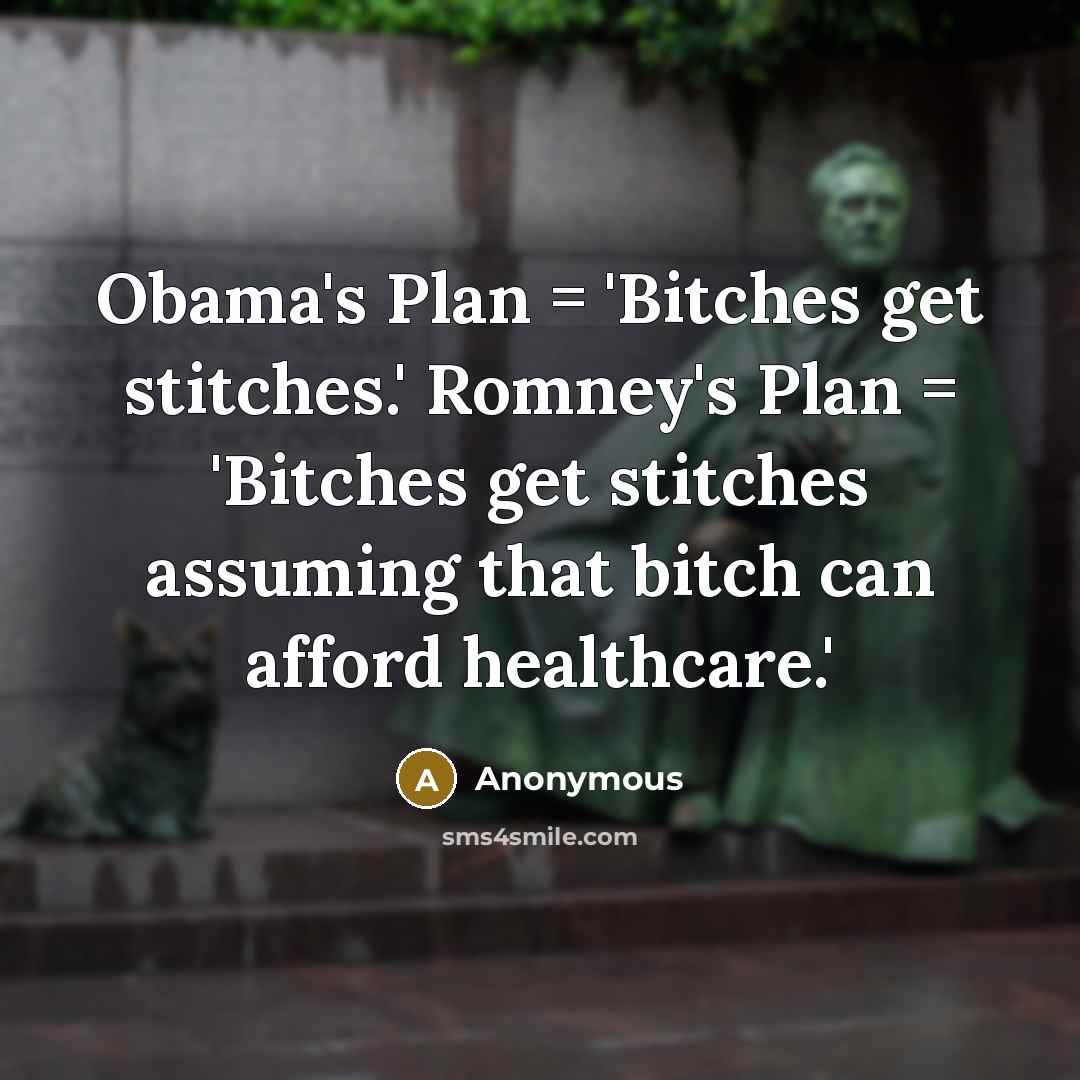 “Obama's Plan = 'Bitches get stitches.' Romney's Plan = 'Bitches get stitches assuming that bitch can afford healthcare.'” quote by Anonymous