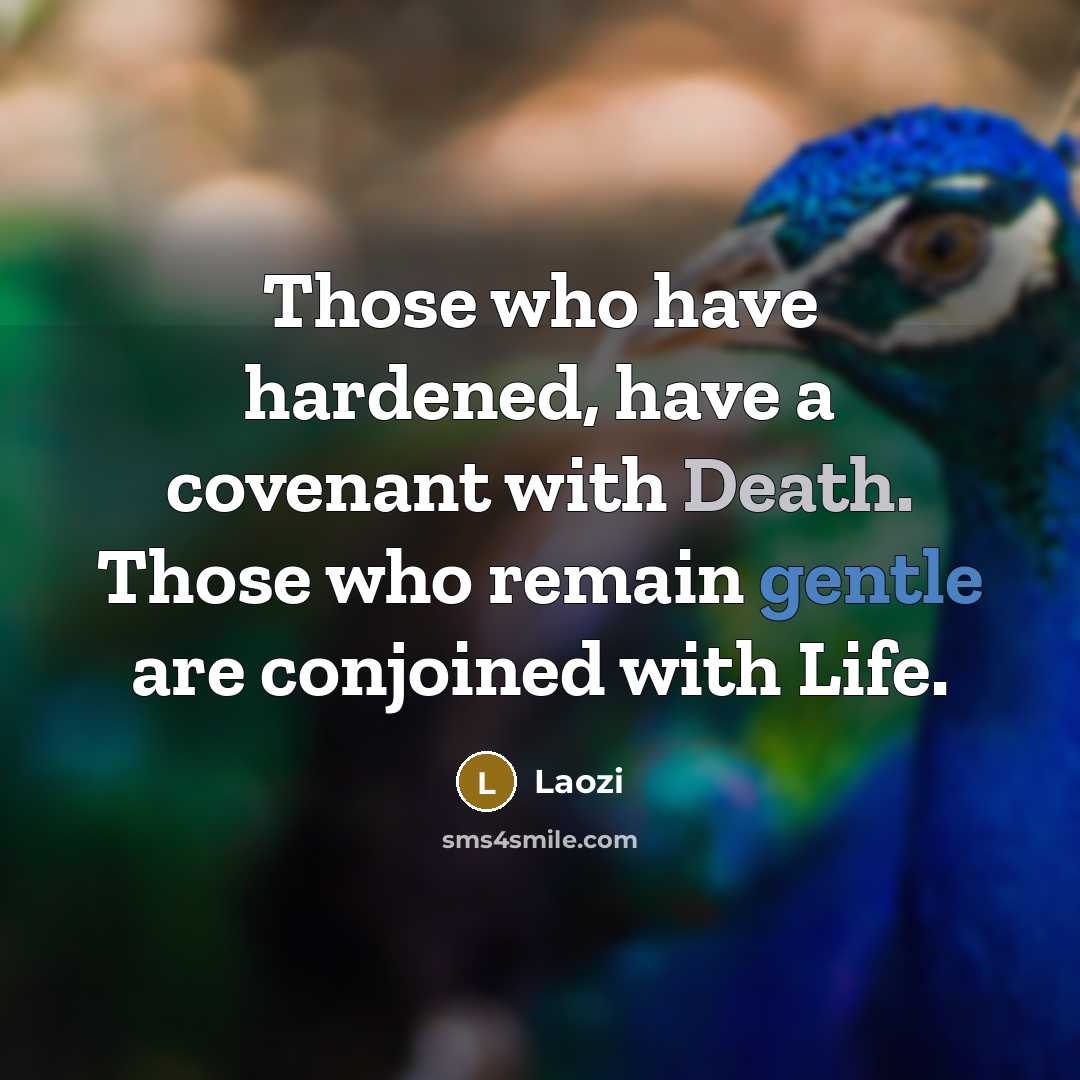 “Those who have hardened, have a covenant with Death. Those who remain gentle are conjoined with Life.” quote by Laozi