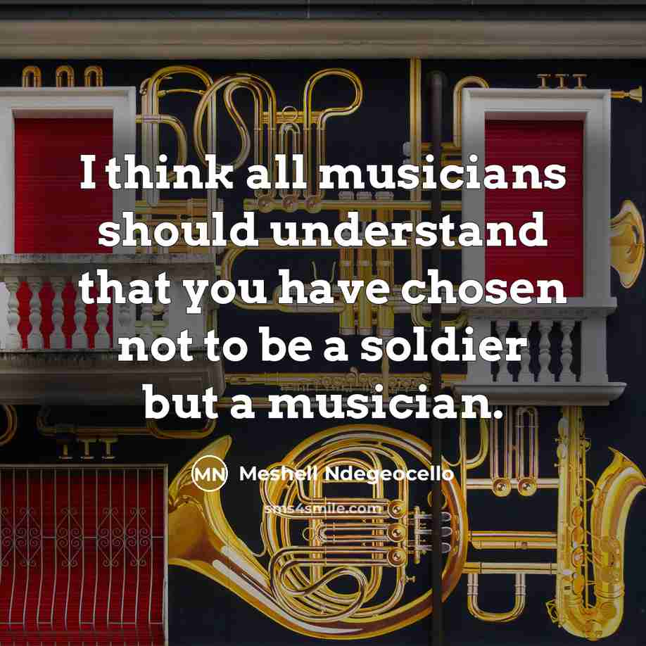 “I think all musicians should understand that you have chosen not to be a soldier but a musician.” quote by Meshell Ndegeocello