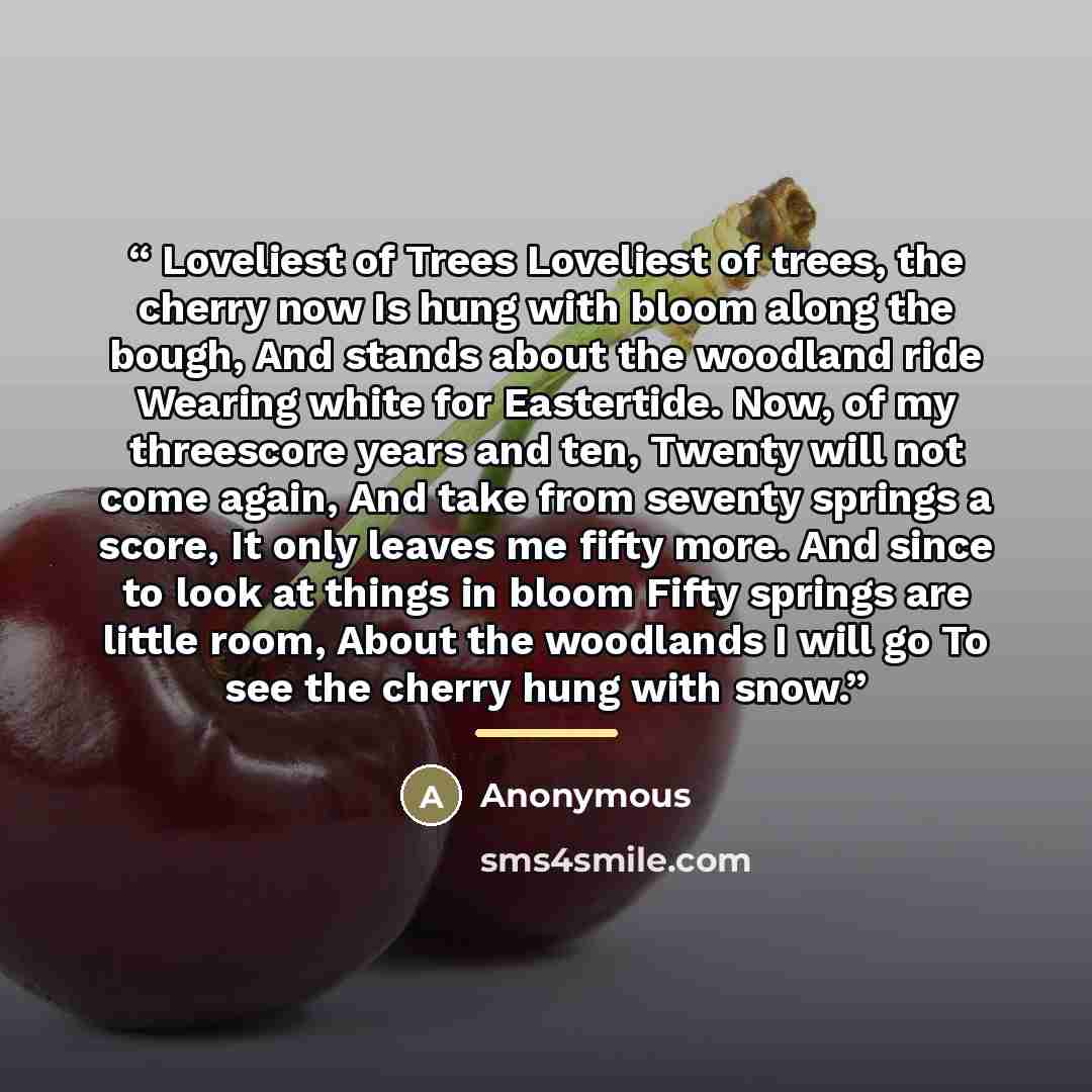 “Loveliest of Trees Loveliest of trees, the cherry now Is hung with bloom along the bough, And stands about the woodland ride Wearing white for Eastertide. Now, of my threescore years and ten, Twenty will not come again, And take from seventy springs a score, It only leaves me fifty more. And since…” quote by Anonymous