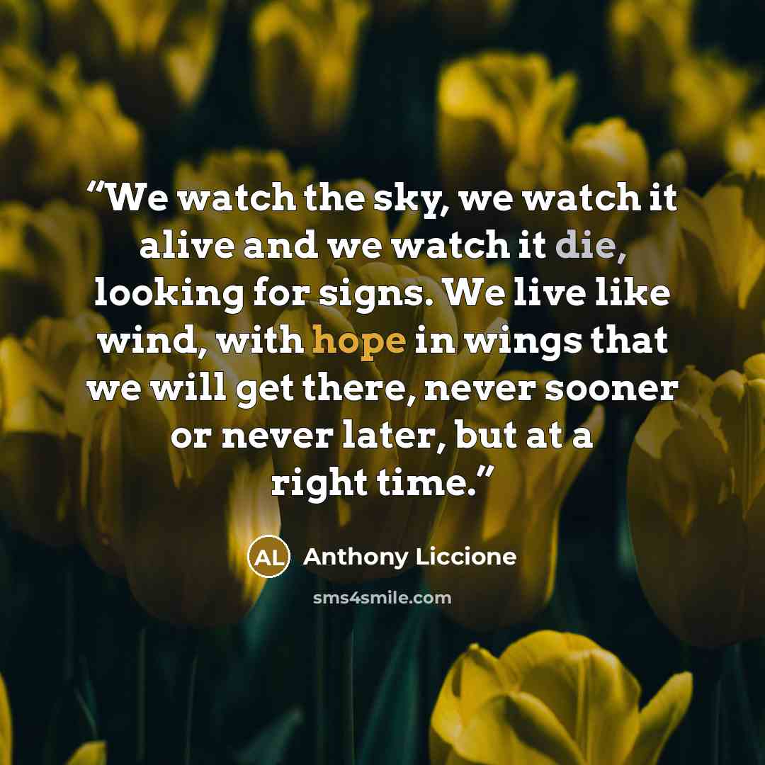 “We watch the sky, we watch it alive and we watch it die, looking for signs. We live like wind, with hope in wings that we will get there, never sooner or never later, but at a right time.” quote by Anthony Liccione