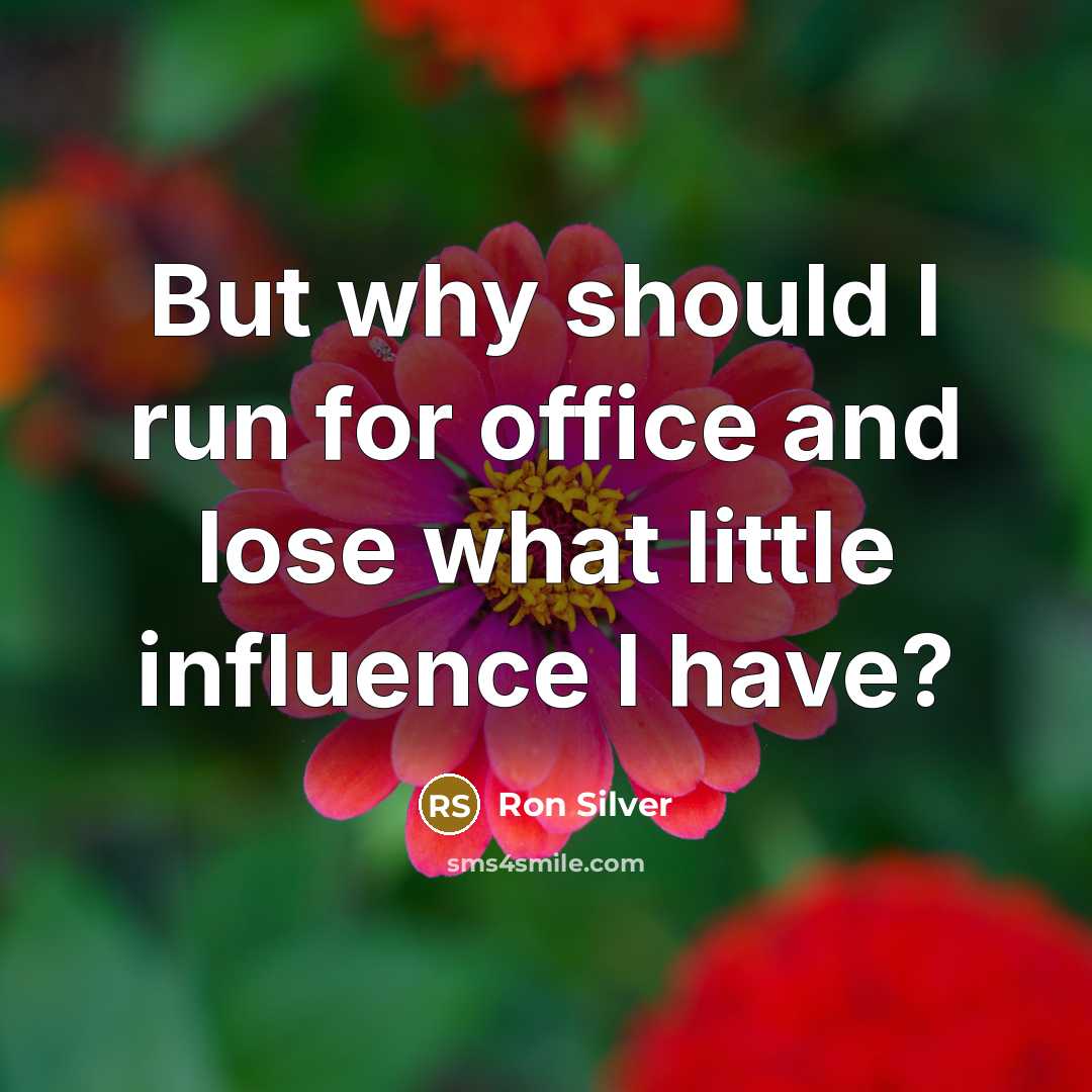 “But why should I run for office and lose what little influence I have?” quote by Ron Silver