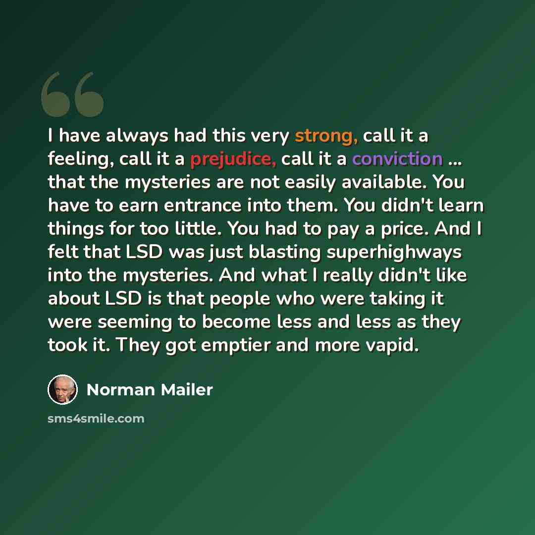 “I have always had this very strong, call it a feeling, call it a prejudice, call it a conviction ... that the mysteries are not easily available. You have to earn entrance into them. You didn't learn things for too little. You had to pay a price. And I felt that LSD was just blasting superhighways…” quote by Norman Mailer