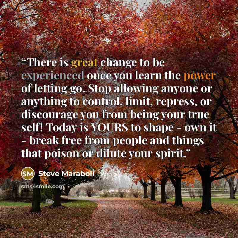 “There is great change to be experienced once you learn the power of letting go. Stop allowing anyone or anything to control, limit, repress, or discourage you from being your true self! Today is YOURS to shape - own it - break free from people and things that poison or dilute your spirit.” quote by Steve Maraboli