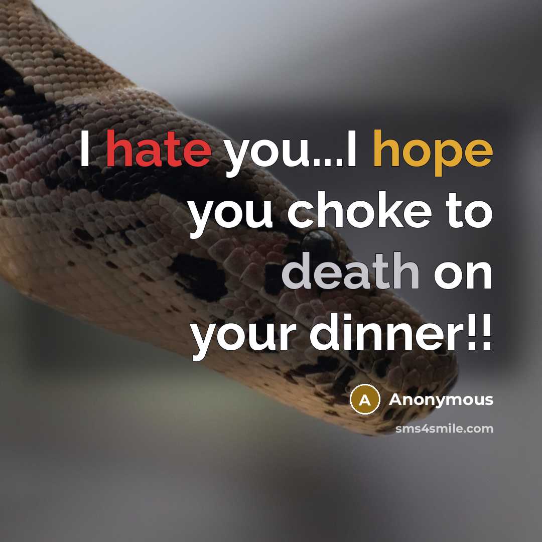 “I hate you...I hope you choke to death on your dinner!!” quote by Anonymous