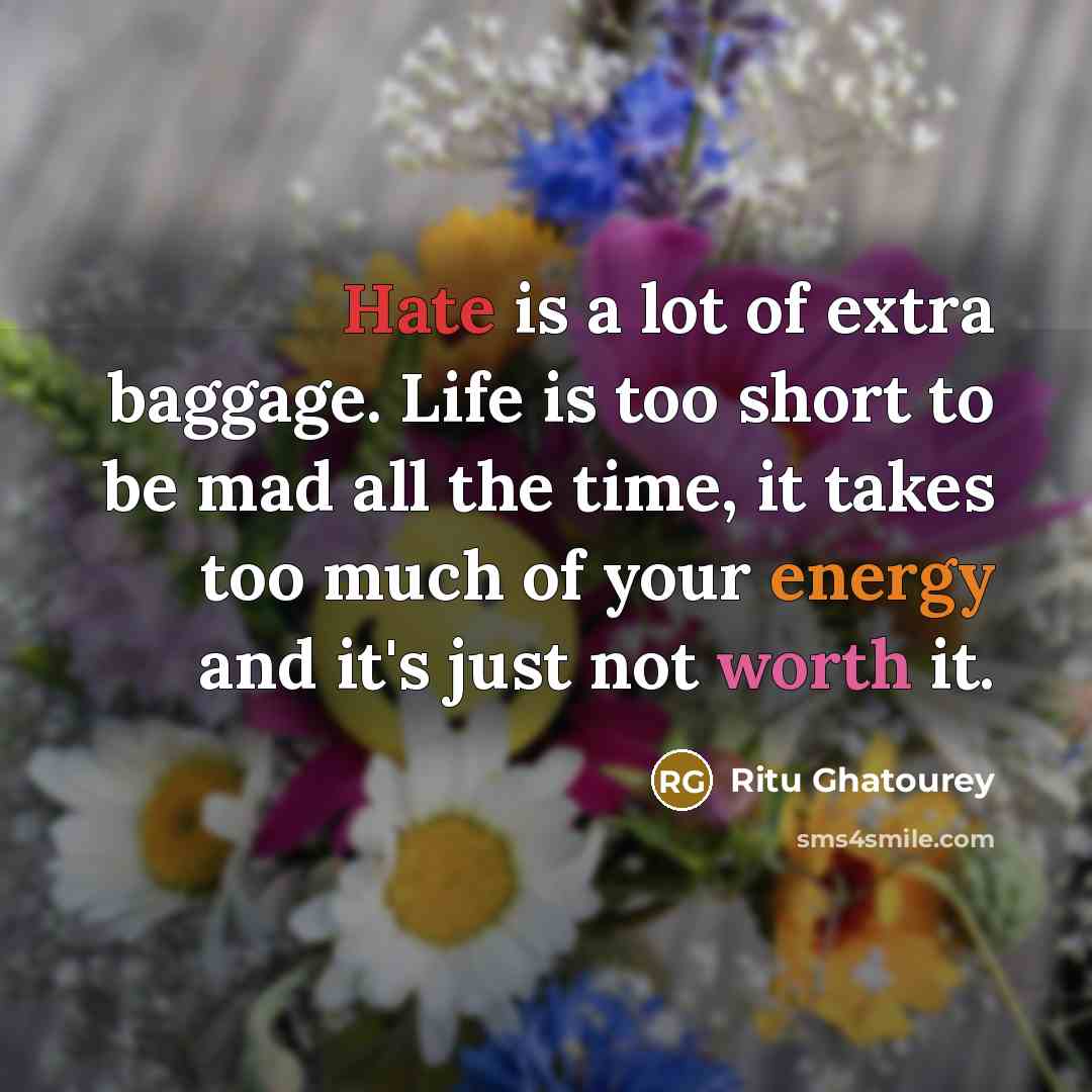 “Hate is a lot of extra baggage. Life is too short to be mad all the time, it takes too much of your energy and it's just not worth it.” quote by Ritu Ghatourey