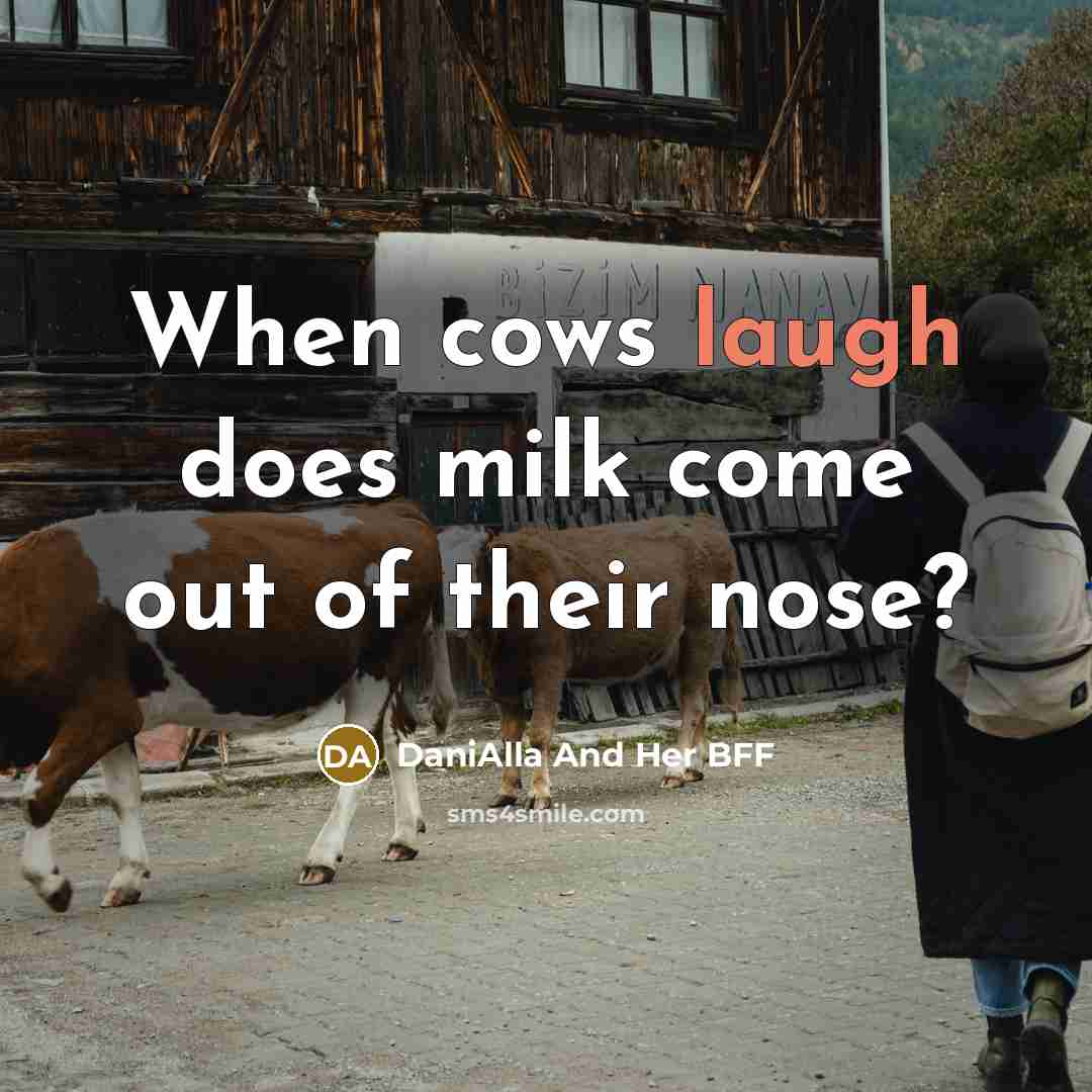 “When cows laugh does milk come out of their nose?” quote by DaniAlla And Her BFF