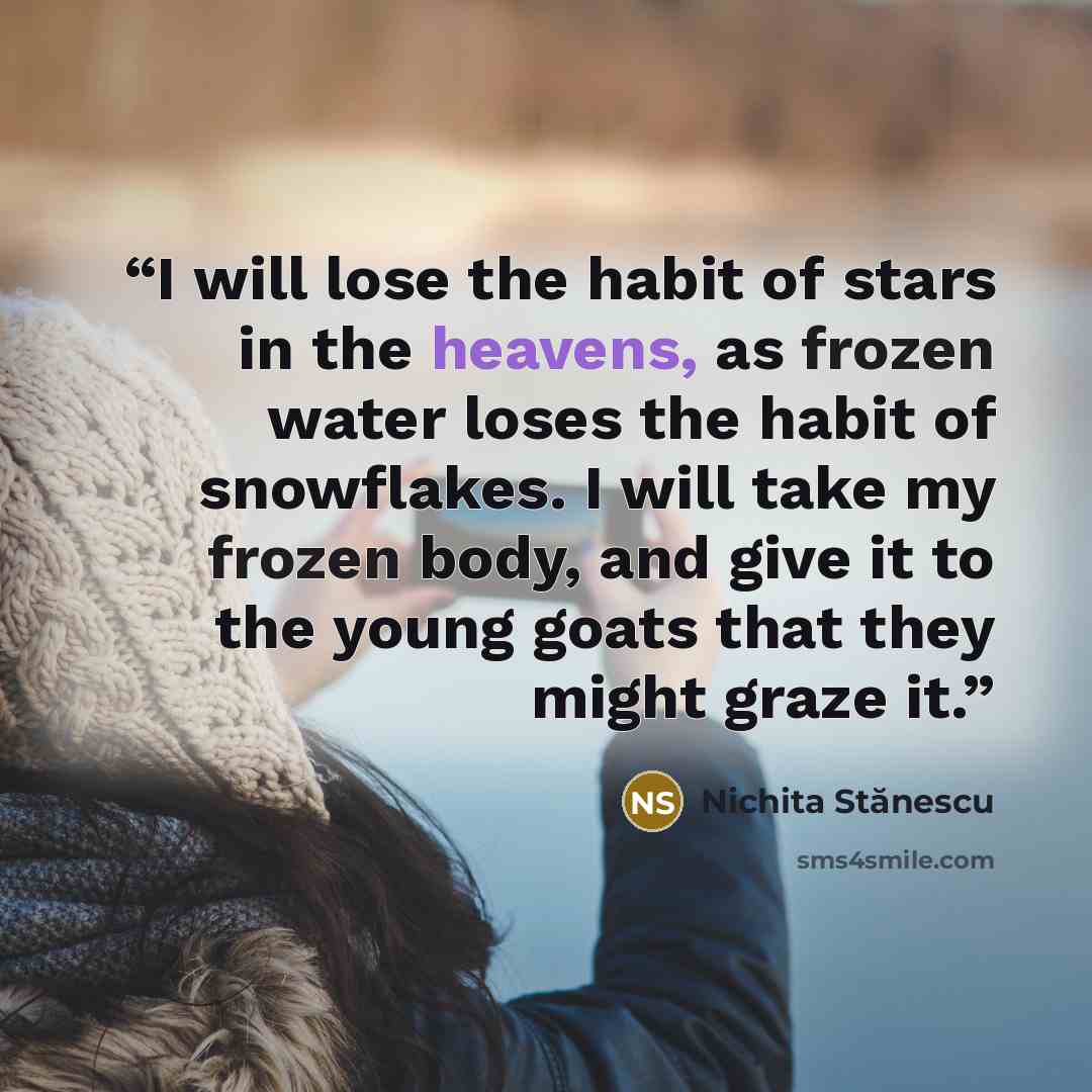 “I will lose the habit of stars in the heavens, as frozen water loses the habit of snowflakes. I will take my frozen body, and give it to the young goats that they might graze it.” quote by Nichita Stănescu