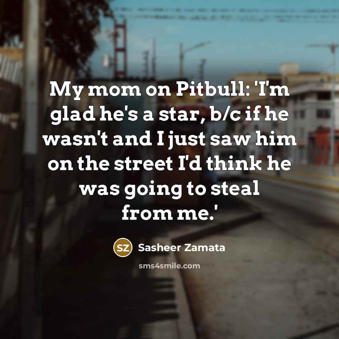 “My mom on Pitbull: 'I'm glad he's a star, b/c if he wasn't and I just saw him on the street I'd think he was going to steal from me.'” quote by Sasheer Zamata