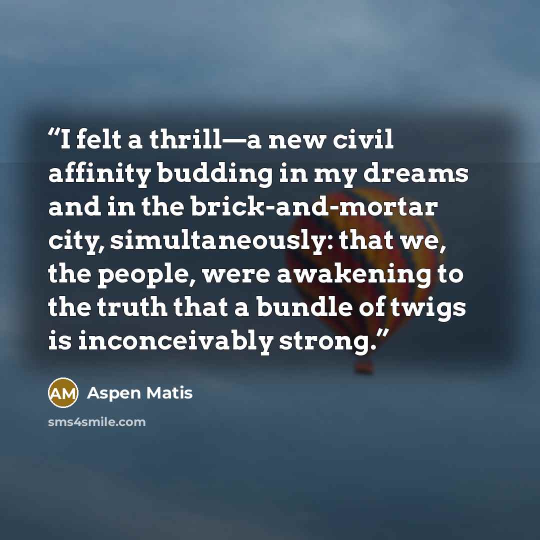 “I felt a thrill—a new civil affinity budding in my dreams and in the brick-and-mortar city, simultaneously: that we, the people, were awakening to the truth that a bundle of twigs is inconceivably strong.” quote by Aspen Matis
