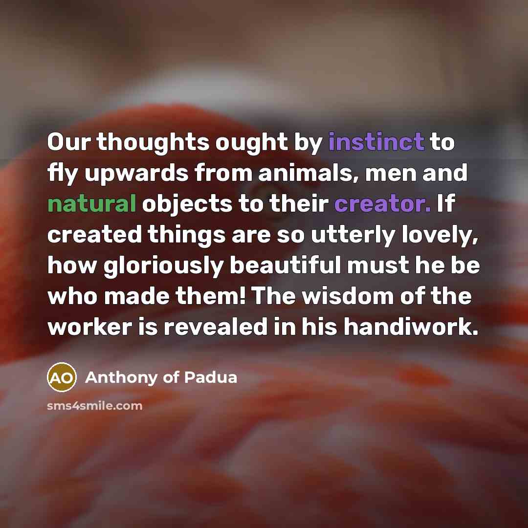 “Our thoughts ought by instinct to fly upwards from animals, men and natural objects to their creator. If created things are so utterly lovely, how gloriously beautiful must he be who made them! The wisdom of the worker is revealed in his handiwork.” quote by Anthony of Padua