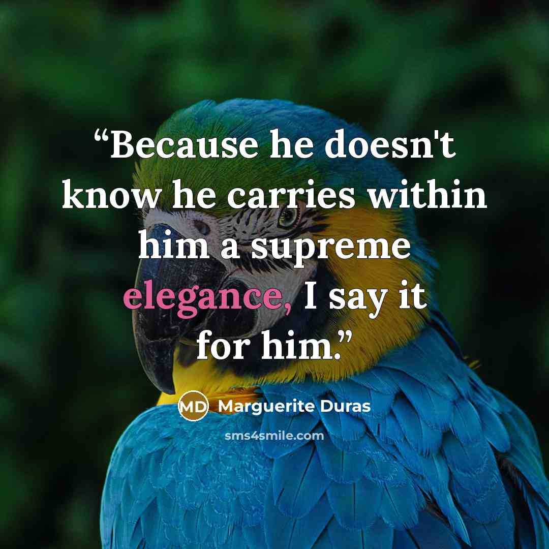 “Because he doesn't know he carries within him a supreme elegance, I say it for him.” quote by Marguerite Duras