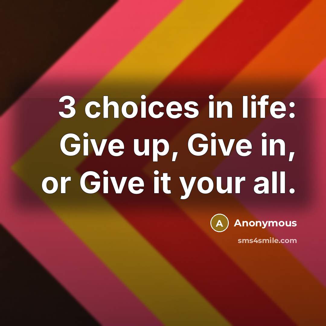 “3 choices in life: Give up, Give in, or Give it your all.” quote by Anonymous