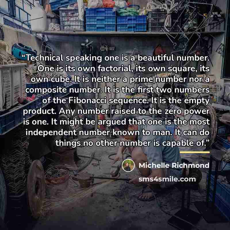 “Technical speaking one is a beautiful number. One is its own factorial, its own square, its own cube. It is neither a prime number nor a composite number. It is the first two numbers of the Fibonacci sequence. It is the empty product. Any number raised to the zero power is one. It might be argued…” quote by Michelle Richmond