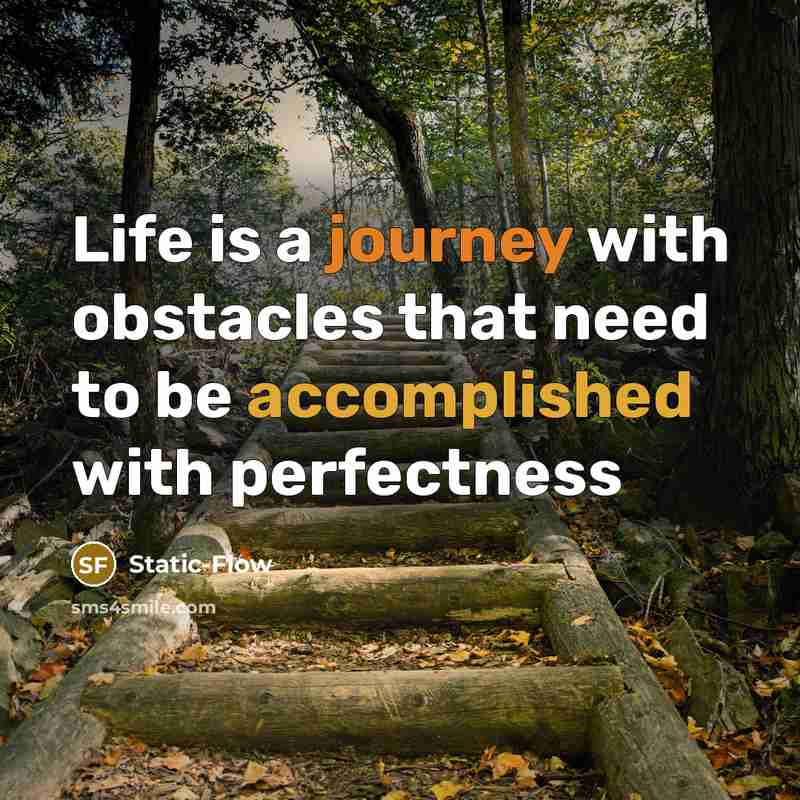 “Life is a journey with obstacles that need to be accomplished with perfectness” quote by Static-Flow