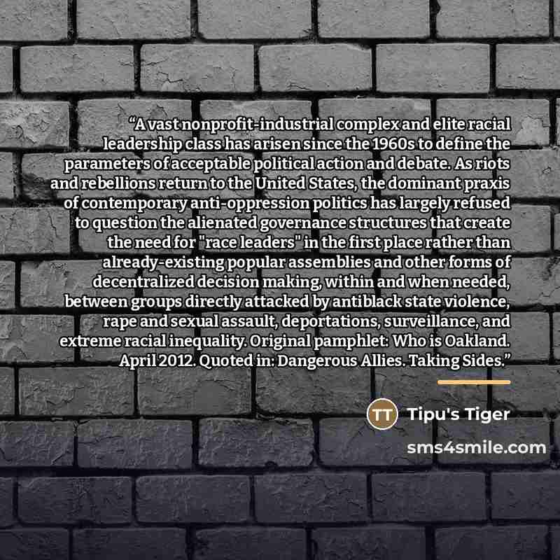 “A vast nonprofit-industrial complex and elite racial leadership class has arisen since the 1960s to define the parameters of acceptable political action and debate. As riots and rebellions return to the United States, the dominant praxis of contemporary anti-oppression politics has largely refused…” quote by Tipu's Tiger