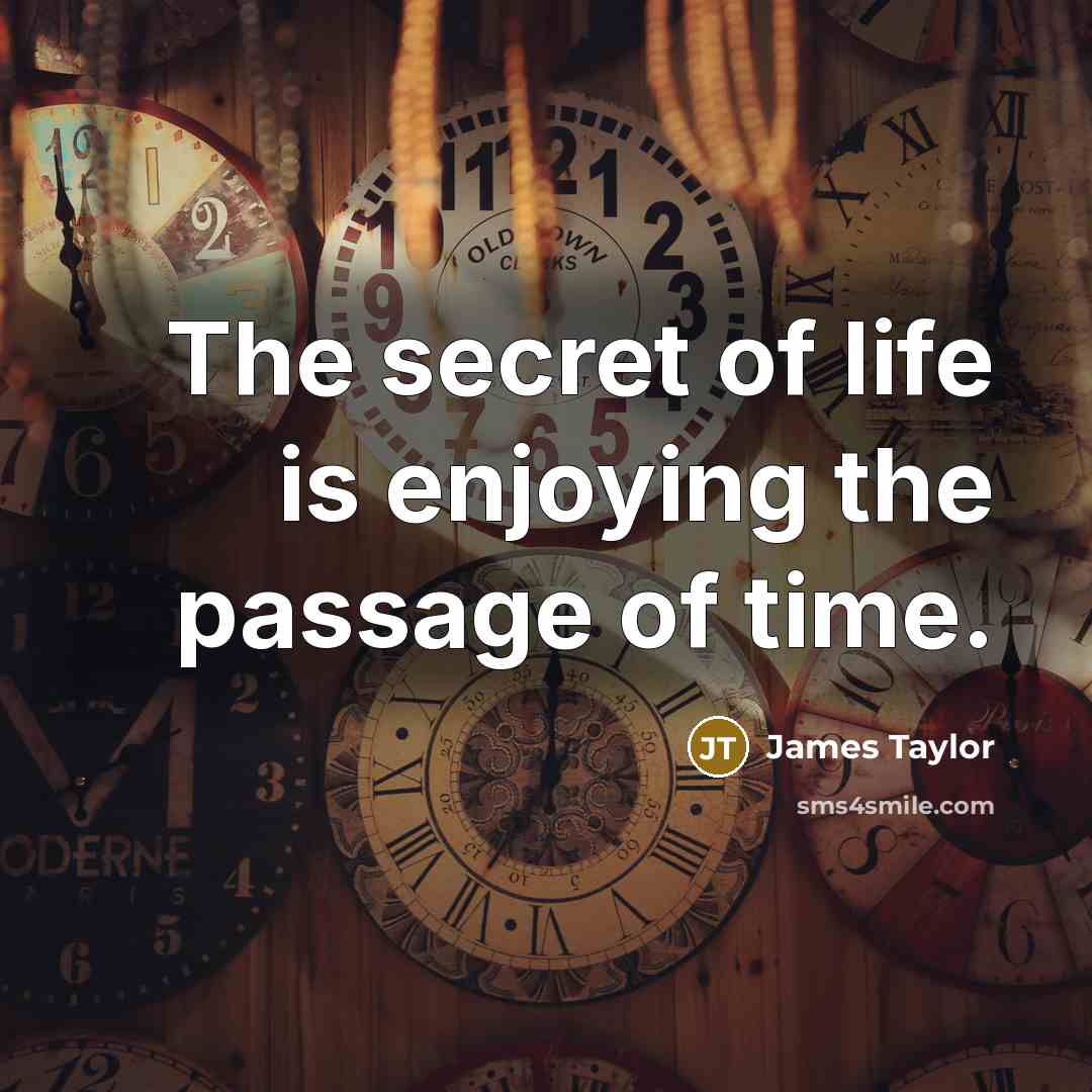 “The secret of life is enjoying the passage of time.” quote by James Taylor