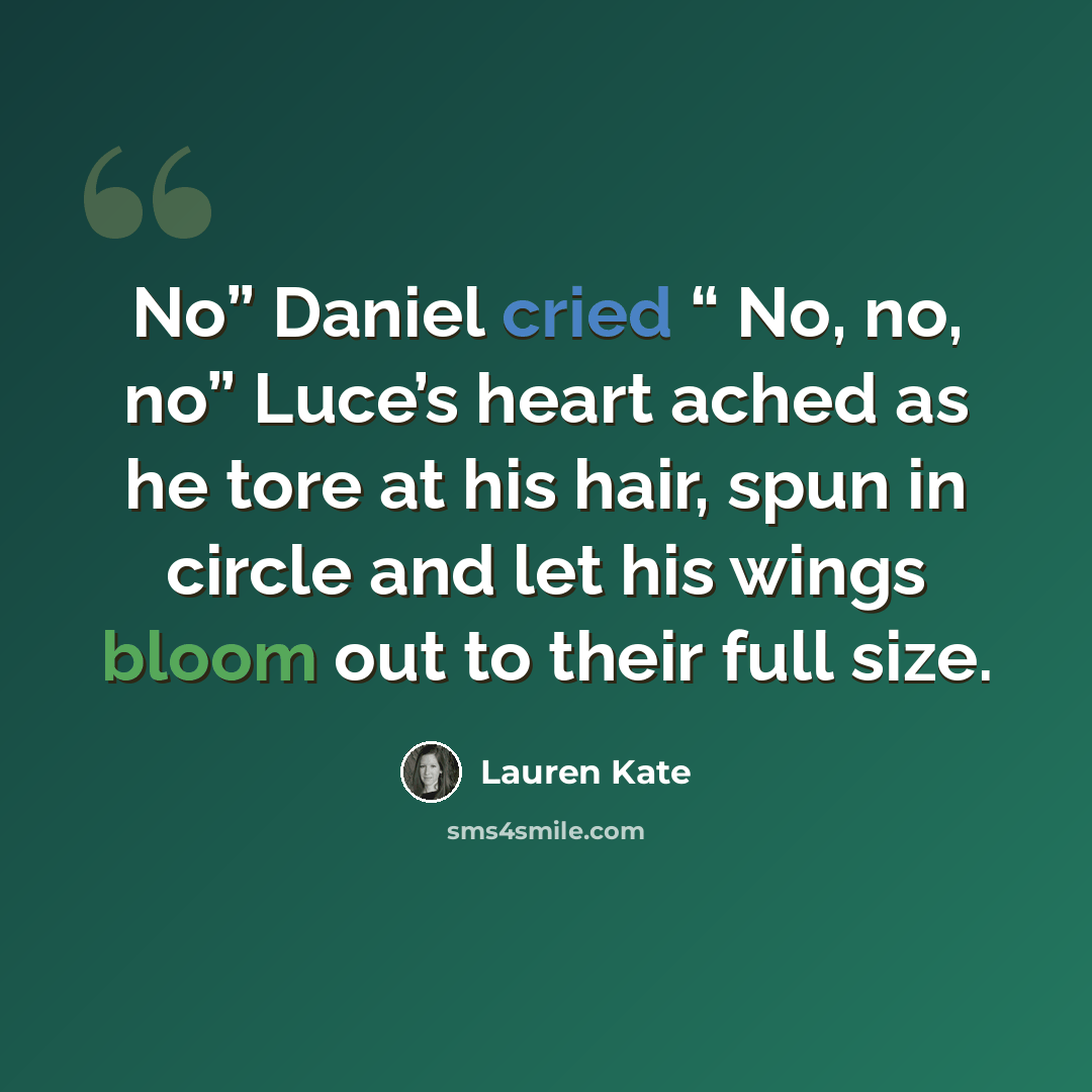 “No” Daniel cried “ No, no, no” Luce’s heart ached as he tore at his hair, spun in circle and let his wings bloom out to their full size.” quote by Lauren Kate