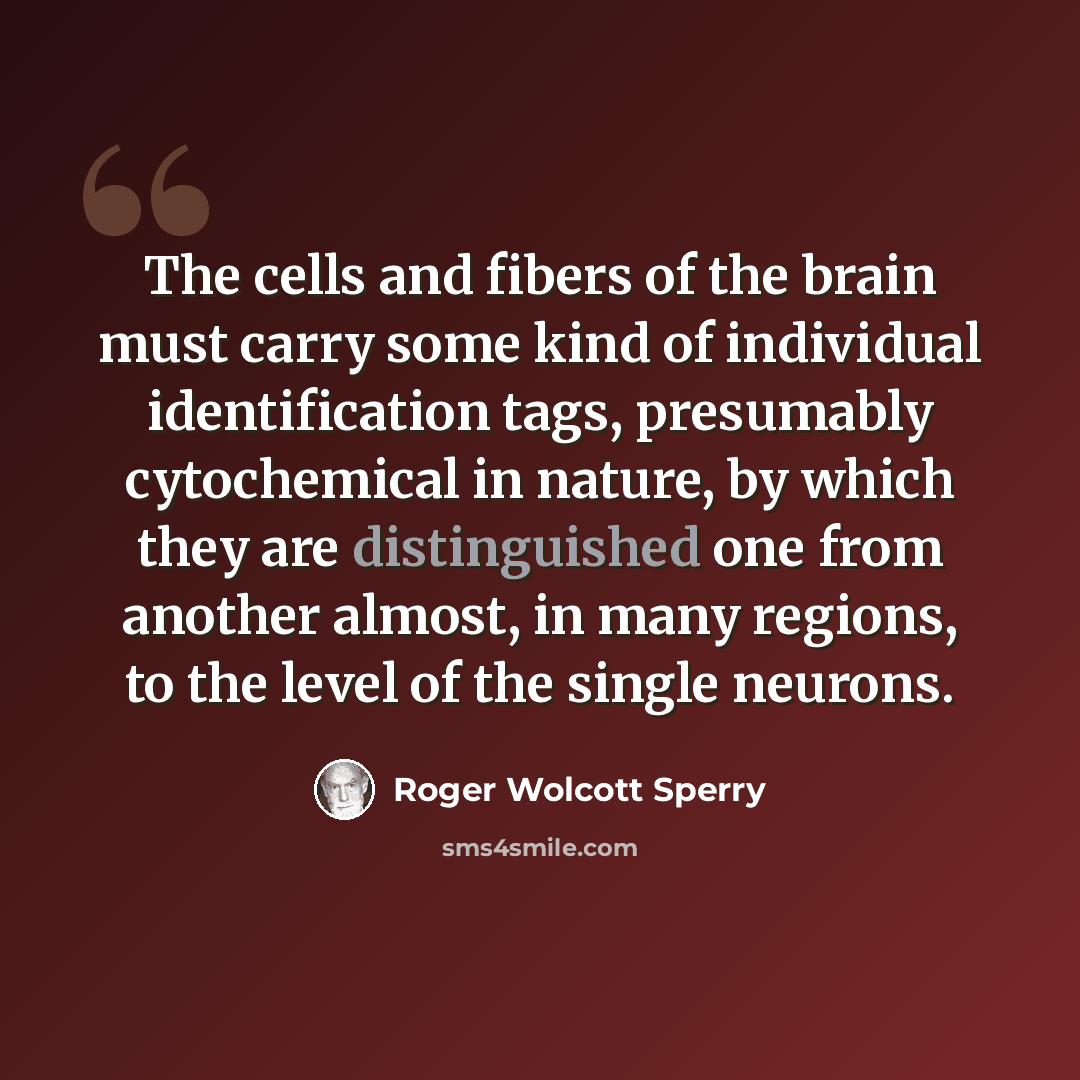 “The cells and fibers of the brain must carry some kind of individual identification tags, presumably cytochemical in nature, by which they are distinguished one from another almost, in many regions, to the level of the single neurons.” quote by Roger Wolcott Sperry