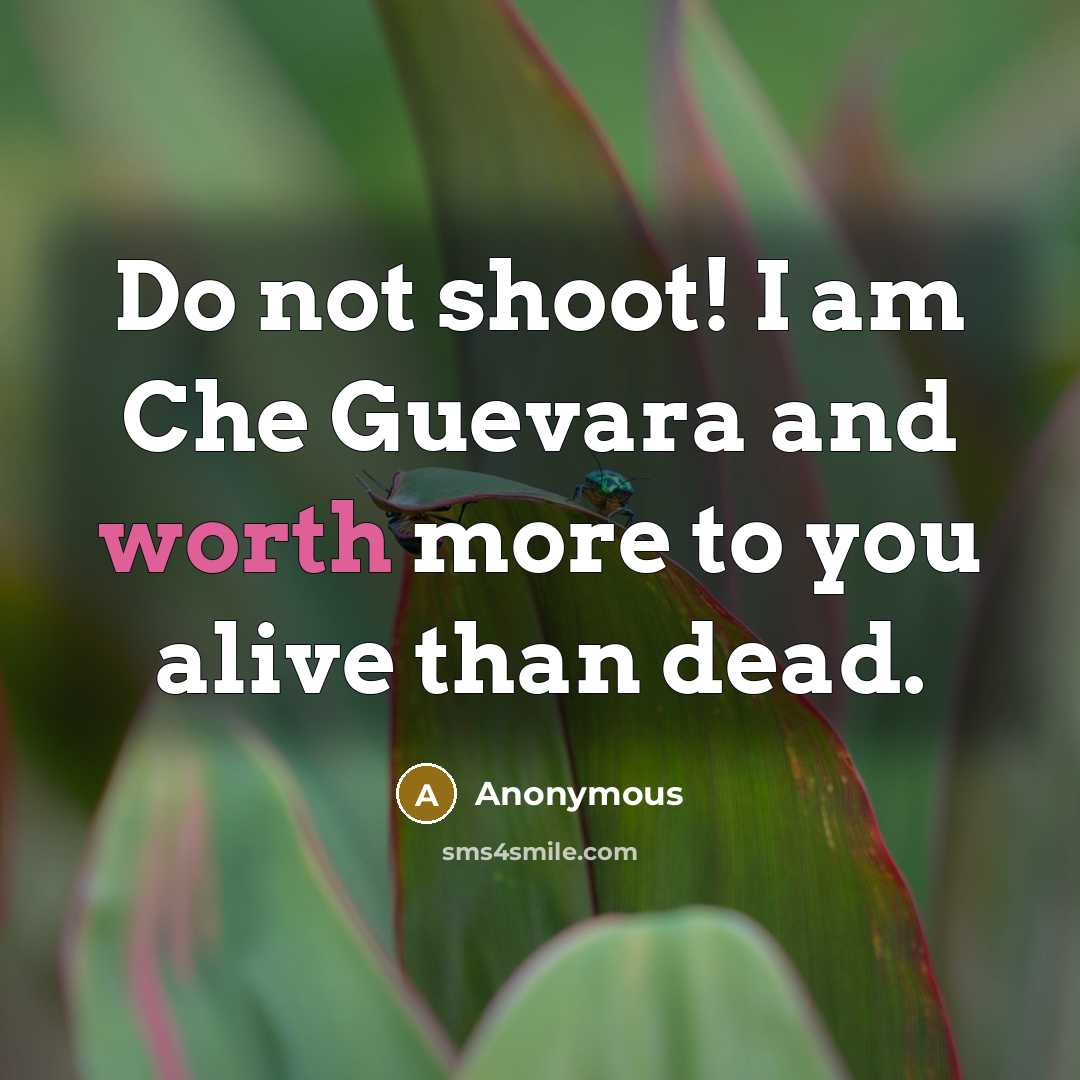 “Do not shoot! I am Che Guevara and worth more to you alive than dead.” quote by Anonymous