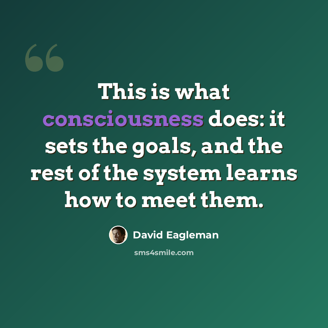 “This is what consciousness does: it sets the goals, and the rest of the system learns how to meet them.” quote by David Eagleman