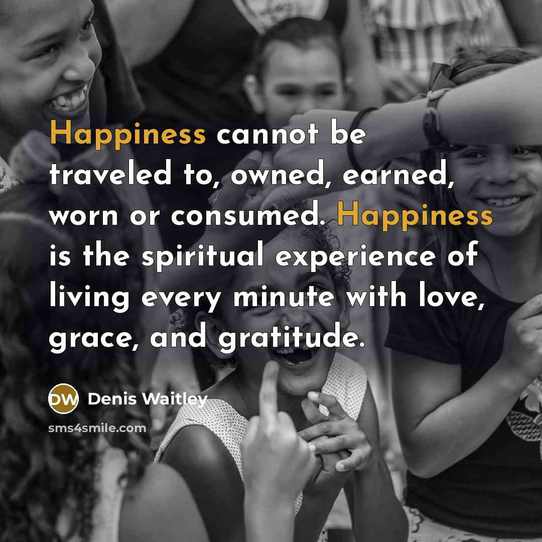“Happiness cannot be traveled to, owned, earned, worn or consumed. Happiness is the spiritual experience of living every minute with love, grace, and gratitude.” quote by Denis Waitley