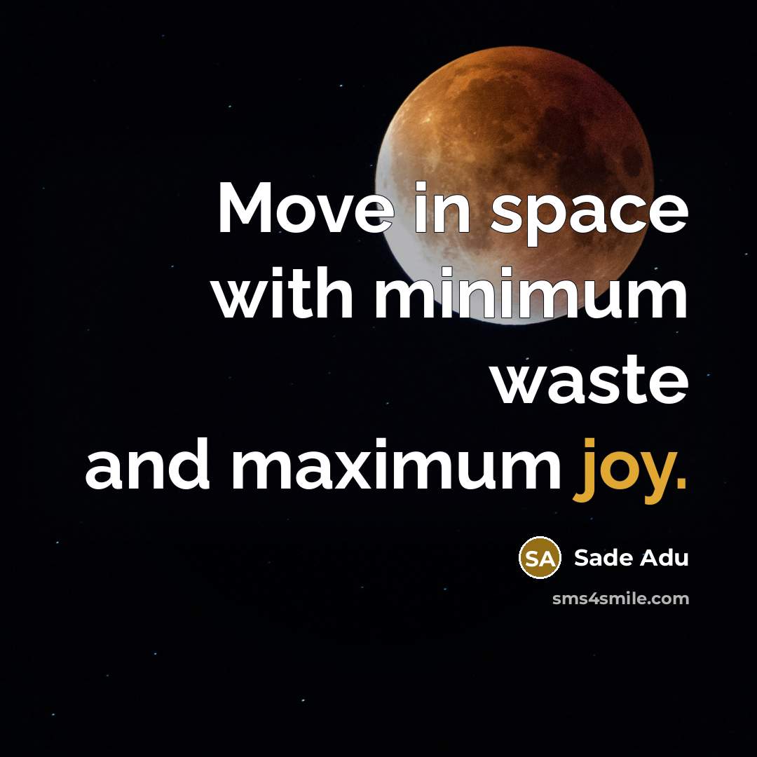 “Move in space with minimum waste and maximum joy.” quote by Sade Adu