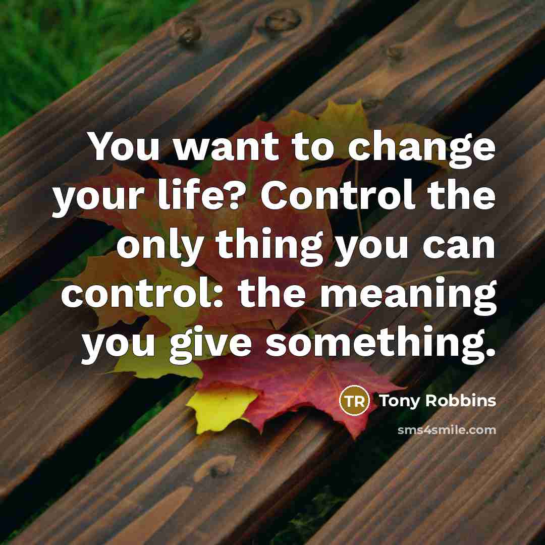 “You want to change your life? Control the only thing you can control: the meaning you give something.” quote by Tony Robbins