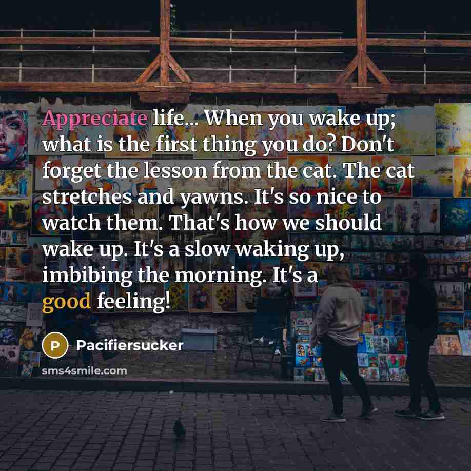 “Appreciate life... When you wake up; what is the first thing you do? Don't forget the lesson from the cat. The cat stretches and yawns. It's so nice to watch them. That's how we should wake up. It's a slow waking up, imbibing the morning. It's a good feeling!” quote by Pacifiersucker