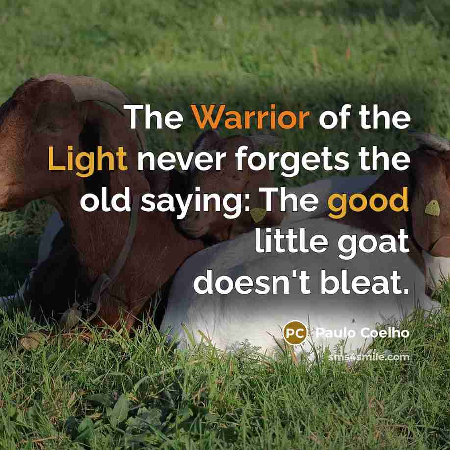 “The Warrior of the Light never forgets the old saying: The good little goat doesn't bleat.” quote by Paulo Coelho