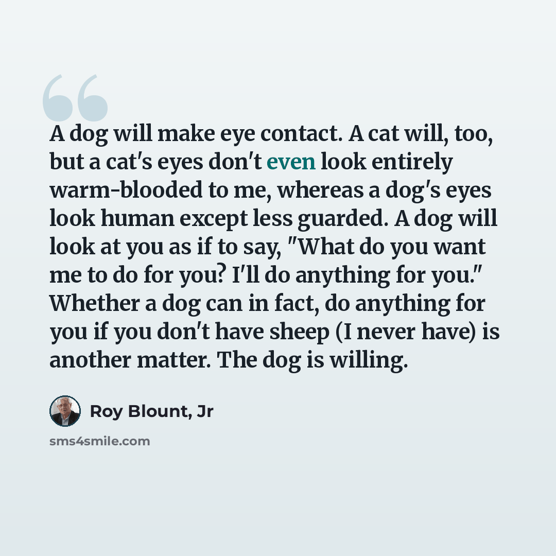“A dog will make eye contact. A cat will, too, but a cat's eyes don't even look entirely warm-blooded to me, whereas a dog's eyes look human except less guarded. A dog will look at you as if to say, "What do you want me to do for you? I'll do anything for you." Whether a dog can in fact, do…” quote by Roy Blount, Jr