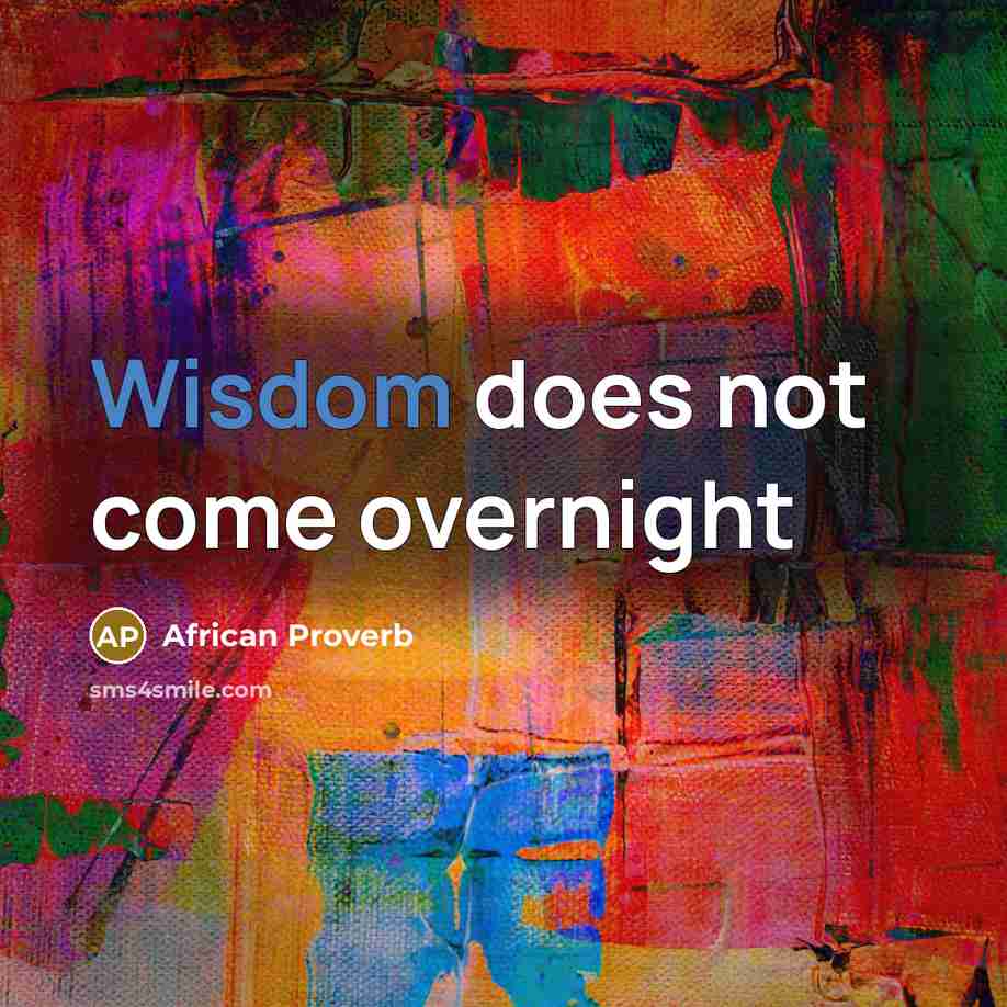 “Wisdom does not come overnight” quote by African Proverb