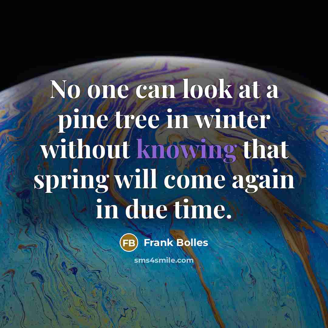 “No one can look at a pine tree in winter without knowing that spring will come again in due time.” quote by Frank Bolles